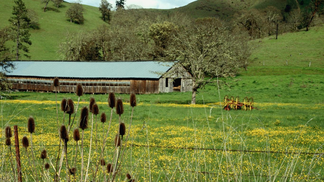 Foothill barn in a wildflower meadow on the way to Amador
